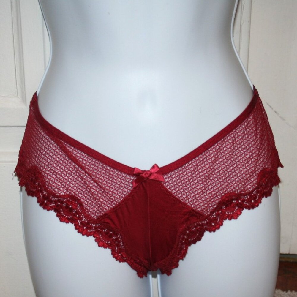 Victorias Secret Mesh And Lace Cheeky Panties Small
